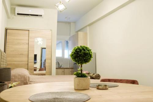 a wooden table with a potted plant on top of it at Dionysos Apartment in Central Athens in Athens