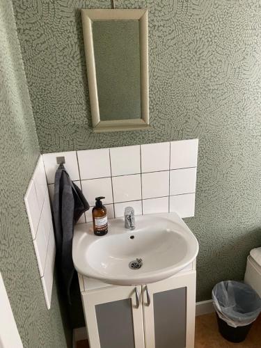 a bathroom with a white sink and a mirror at Elisabets Vandrarhem Hemse in Hemse