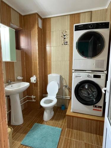 a bathroom with a washing machine and a toilet at Casa Alleria in 2 Mai