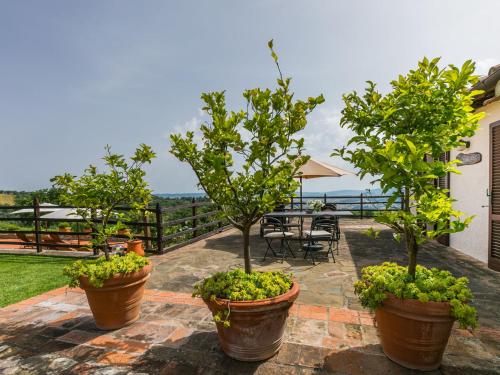 three potted trees in pots on a patio at Holiday Home Ciliegiolo by Interhome in Cinigiano