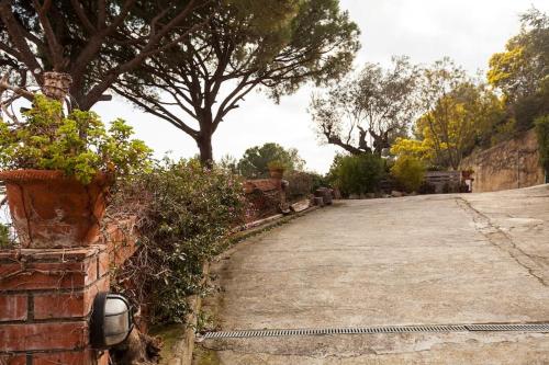 a dirt road with trees on the side at Wonderful house in the mountains with sea views in Cabrils