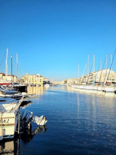 Bel appartement sur le port avec jardin photo 8