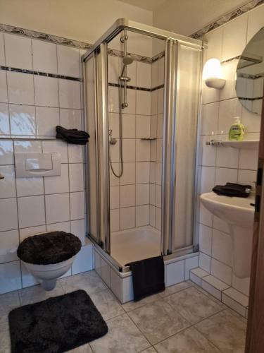 a bathroom with a shower and a toilet and a sink at Platanenhof in Bad Essen