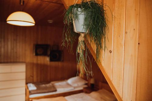 a room with a light on a wooden wall at Jasminowe Wzgorze in Wilkanów