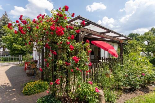 un jardín con flores rojas y una sombrilla roja en Domizil Am Park Sanssouci, en Potsdam