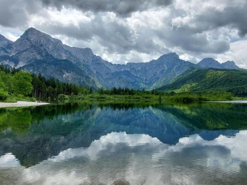 a reflection of mountains in a lake with trees at Apartment Adlerhorst - Top 5 by Interhome in Grünau im Almtal