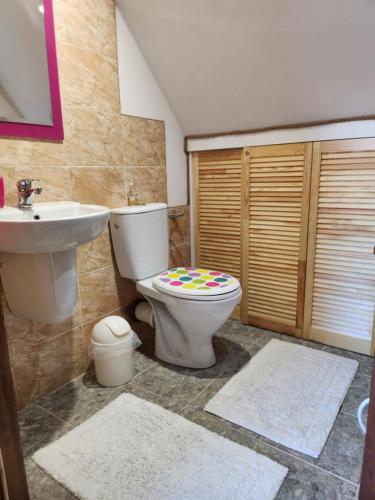 a bathroom with a toilet and a sink at Podlaska Pieredyszka, dom na wyłączność in Narew
