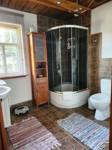 a bathroom with a shower and a toilet and a sink at Podlaska Pieredyszka, dom na wyłączność in Narew