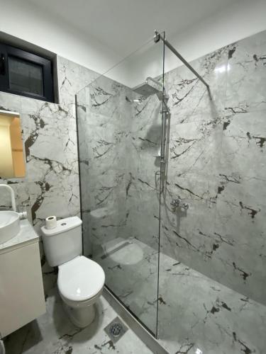 uma casa de banho com um WC e uma cabina de duche em vidro. em Hotel FOCUS em Prilep