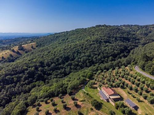 an aerial view of a house in the middle of a forest at Holiday Home Asia by Interhome in Scansano