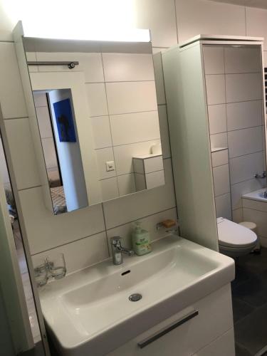 een badkamer met een wastafel, een spiegel en een toilet bij Soumia in Territet