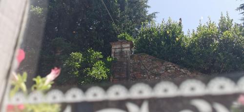 Gallery image of La Maison de Jardin in Lucca