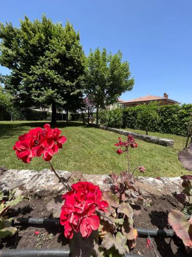 Zahrada ubytování Hotel Colucci