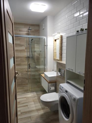 La salle de bains est pourvue de toilettes, d'un lavabo et d'un lave-linge. dans l'établissement Apartament Pod Jelonkiem, à Szklarska Poręba