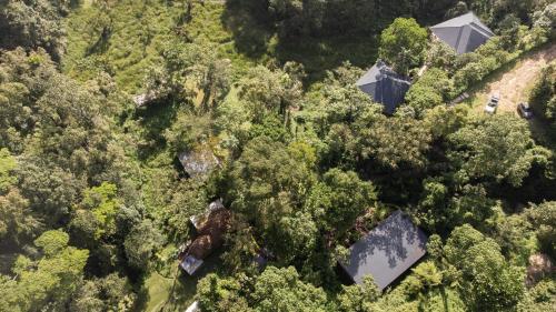 an overhead view of a forest with houses and trees at Nshongi Camp in Rubuguli