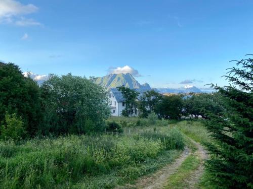 eine unbefestigte Straße, die zu einem Haus mit einem Berg im Hintergrund führt in der Unterkunft Northern Light Cabin Lofoten in Sennesvik