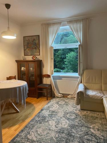 salon z kanapą i oknem w obiekcie Apartment VilaPark 14 w mieście Rogaška Slatina
