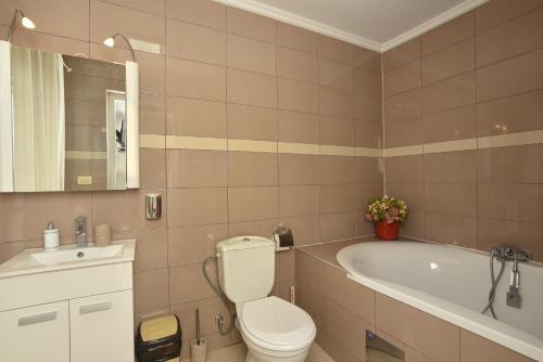 a bathroom with a toilet and a bath tub at Apartments Villa Graf in Smederevo