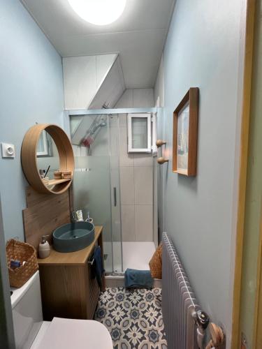 y baño pequeño con lavabo y ducha. en Appt lumineux - 2 chambres - Mer et commerces en Berck-sur-Mer