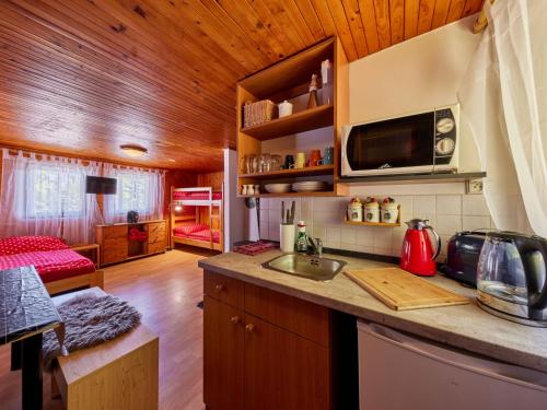 a kitchen with a sink and a microwave at Holiday Home Lesní plovárna B1 by Interhome in Mladé Buky
