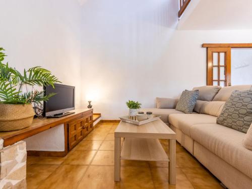un salon avec un canapé et une télévision dans l'établissement Holiday Home Paraiso by Interhome, à Riumar