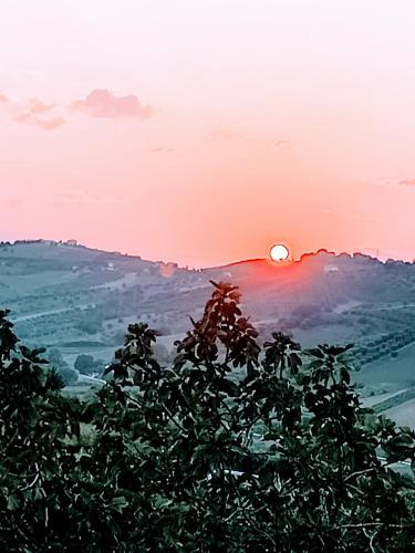 Country-House Pecora Nera – Photos 3