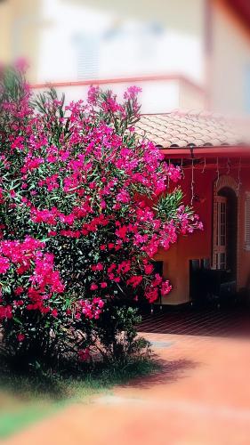 Country-House Pecora Nera – Photos 2
