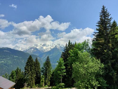 - une vue sur une chaîne de montagnes avec des arbres et des montagnes dans l'établissement Studio Les Tétras by Interhome, à Saint-Gervais-les-Bains