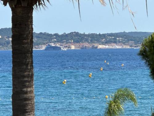 une grande masse d'eau avec un navire de croisière au loin dans l'établissement Apartment Les Dauphins-2 by Interhome, à Sainte-Maxime