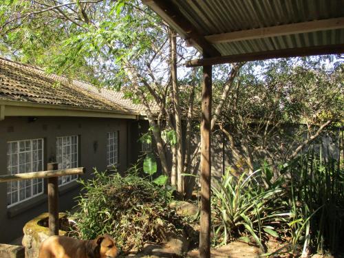 Jardín al aire libre en Leopard Tree Retreat