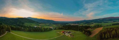 a group of people standing on a green field with the sunset at Pircherhof - Adults Only am Biobauernhof in Pöllau