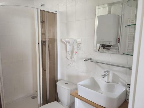 La salle de bains est pourvue d'un lavabo, de toilettes et d'une douche. dans l'établissement Stawy u Sikory. Agroturystyka i łowisko, à Nowa Wieś