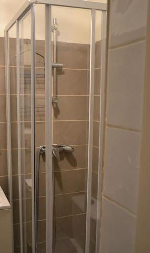 une douche avec une porte vitrée dans une salle de bain dans l'établissement Pêcheur: F2 climatisé au cœur du village., à Palavas-les-Flots