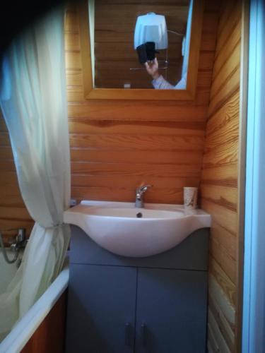 レ・ザングルにあるChalet Les Anglesの浴室の洗面台の写真を撮る男