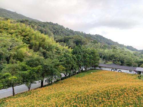 a field of yellow flowers next to a road at 赤科山櫻之谷咖啡民宿 in Chiu-t'ien