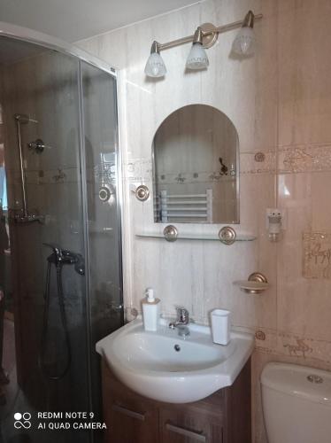 a bathroom with a sink and a shower at Pokoje ,,Goramiba''Jurgów in Jurgów