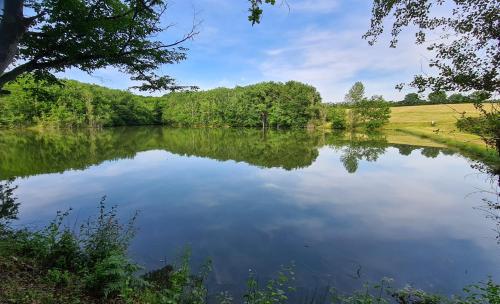 vistas a un estanque con árboles y un campo en LE HAMEAU DES ETOILES en Fleurance
