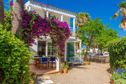 Φωτογραφία από το άλμπουμ του Aloes σε Sa Caleta