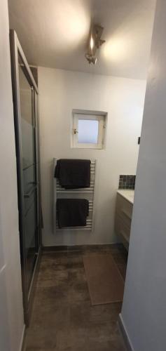 bagno con doccia, lavandino e specchio di Studio en plein cœur de la ville a Mazan