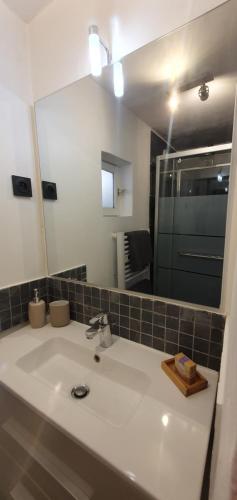 ein Bad mit einem Waschbecken und einem Spiegel in der Unterkunft Studio en plein cœur de la ville in Mazan