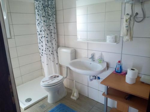 a bathroom with a toilet and a sink at Apartments and rooms Camelia in Premantura