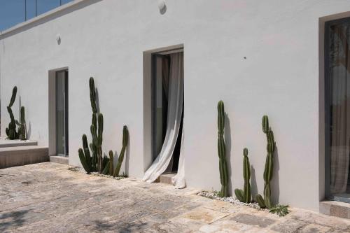 Masseria Intera Collina Casanoja – Photos 4