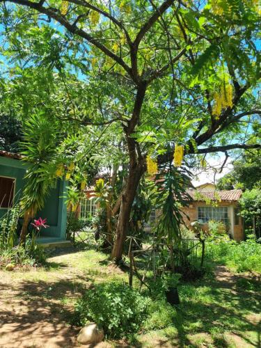 Taman di luar Vila das Acácias
