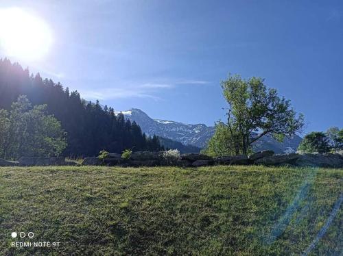 un champ verdoyant avec un arbre et des montagnes en arrière-plan dans l'établissement Appartement en rez de jardin vue montagne, aux Contamines-Montjoie