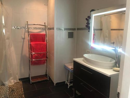 a bathroom with a sink and a mirror at Le Clos de la Belle Loge Location de studio 