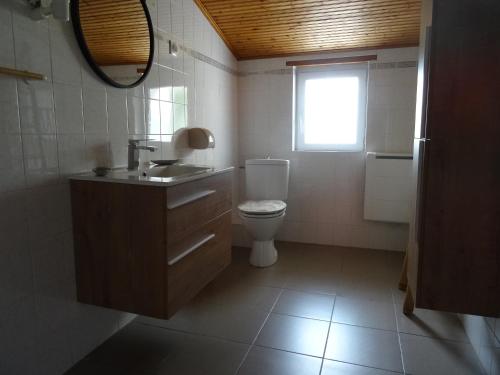 a bathroom with a toilet and a sink and a window at les gîtes de La Cossais in Saint-Cyr-en-Talmondais
