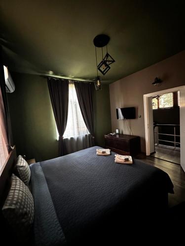 - une chambre avec un grand lit et une fenêtre dans l'établissement Art Apartment 36, à Plovdiv