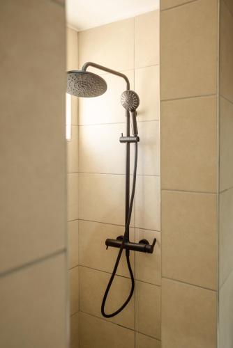 a shower in a bathroom with a shower head at Blue Coral Beachfront Penthouse in Flic-en-Flac