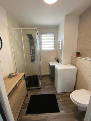 une salle de bain avec une douche, des toilettes et un lavabo dans l'établissement Chambéry Le Chambellan, à Chambéry