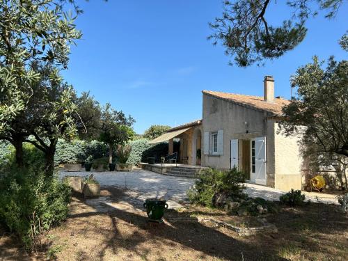 Les oliviers du pradon